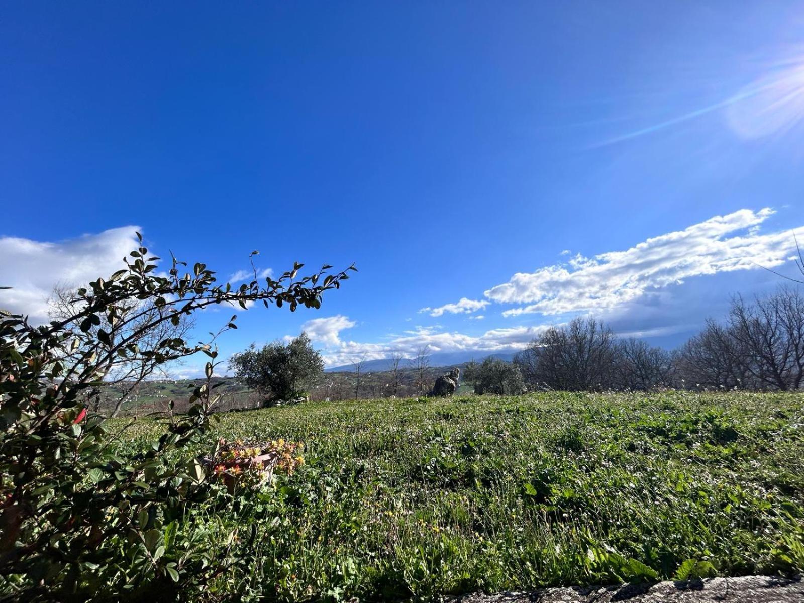 Residence San Martino Appartamento Mini Busso 外观 照片