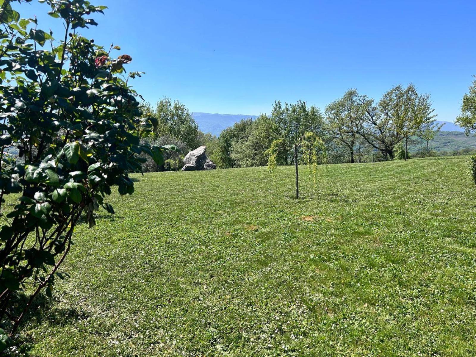 Residence San Martino Appartamento Mini Busso 外观 照片